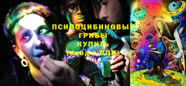 Альфа ПВП Магас