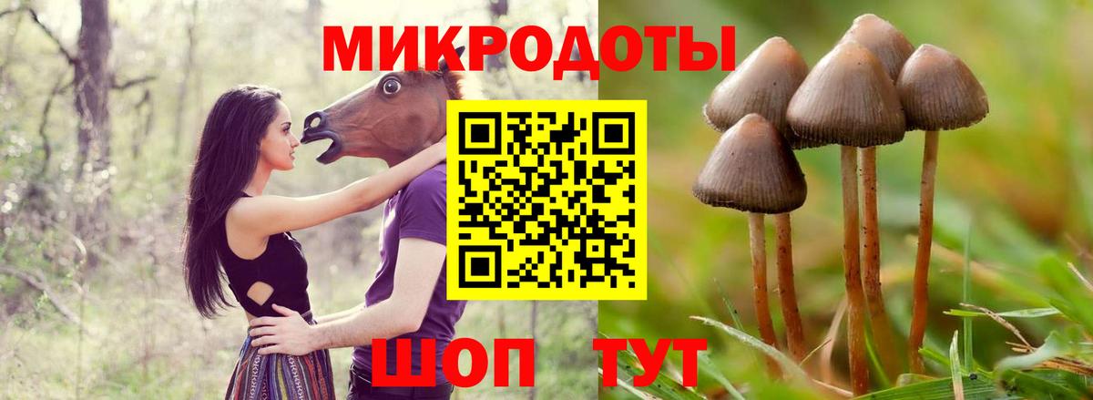 Лысьва  Псилоцибиновые грибы Cubensis  цены наркотик  Псилоцибиновые грибы ЛСД  Вход с VPN 